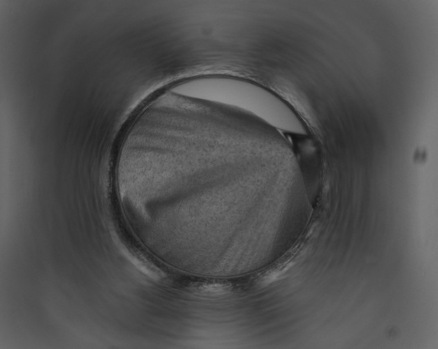 X0000089380156200707131705