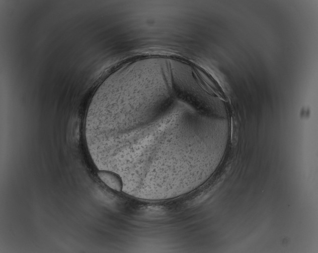 X0000089380157200707131705