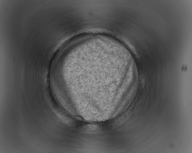 X0000089380159200707131706