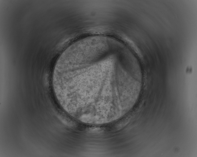 X0000089380161200707131706