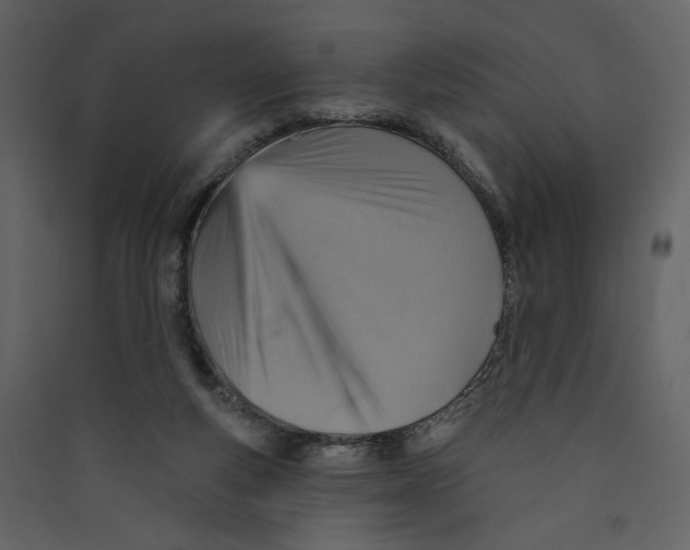 X0000089380163200707131706