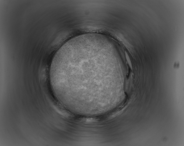 X0000089380165200707131706