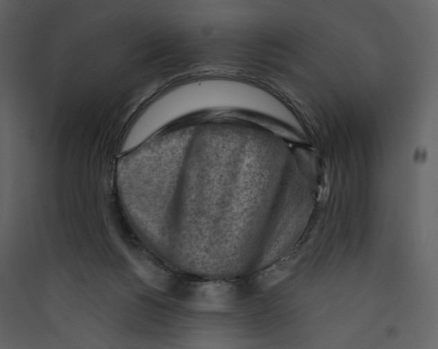 X0000089380168200707131706