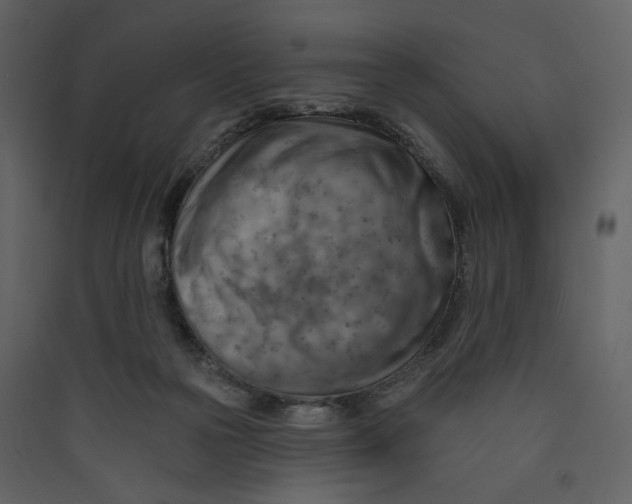 X0000089380169200707131706