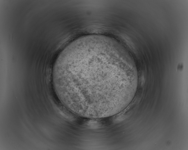 X0000089380171200707131706