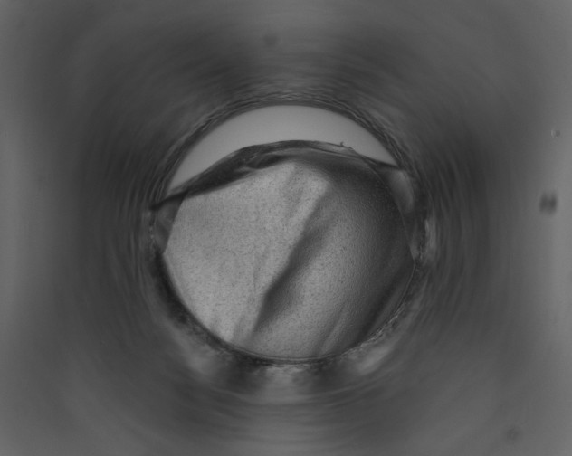 X0000089380172200707131706