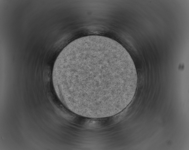 X0000089380174200707131706