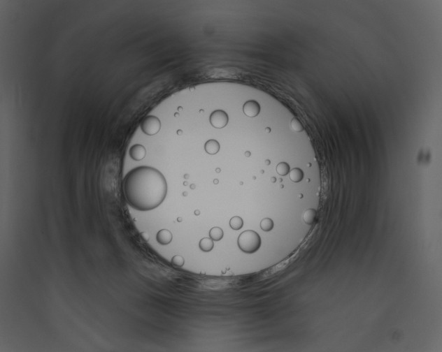 X0000089380175200707131706