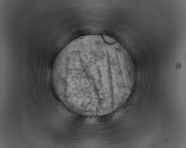 X0000089380177200707131706