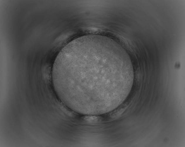 X0000089380181200707131706