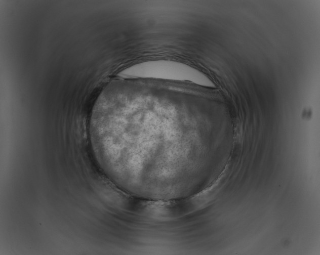 X0000089380182200707131706