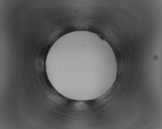 X0000089380183200707131706