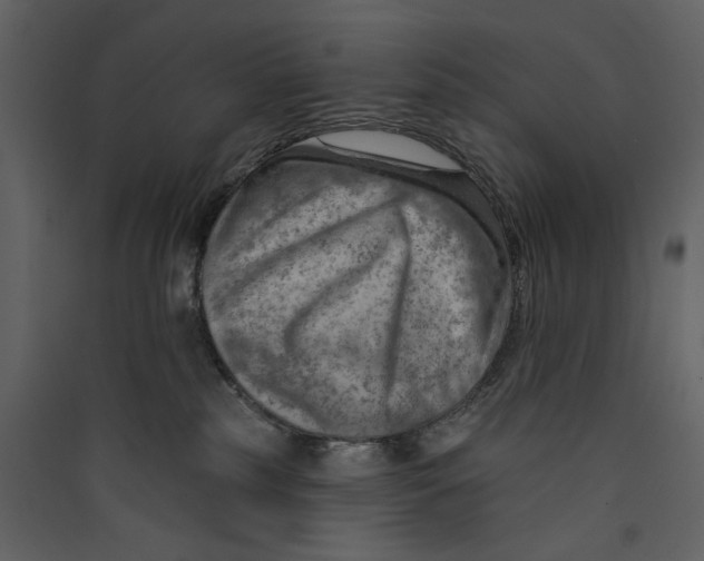 X0000089380185200707131706