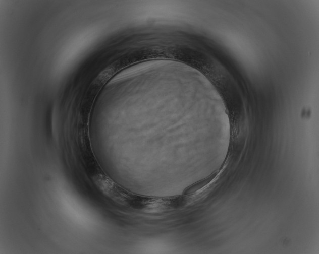 X0000089380191200707131706