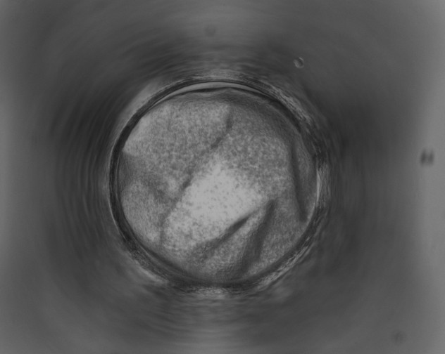 X0000089380195200707131705