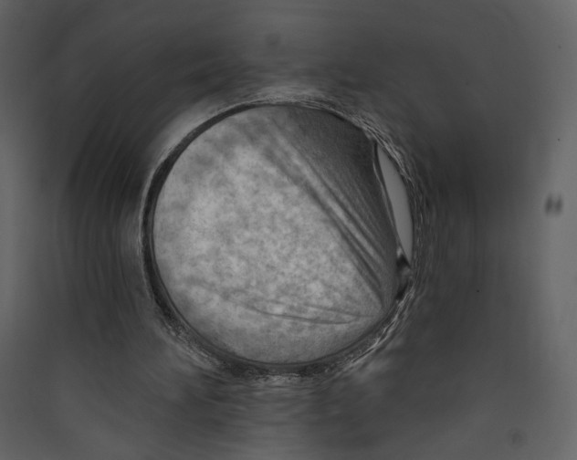 X0000089380196200707131705