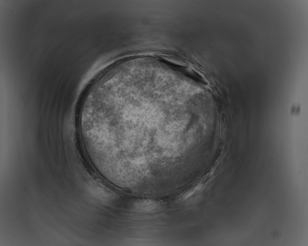 X0000089380198200707131705