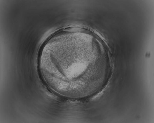 X0000089380199200707131705