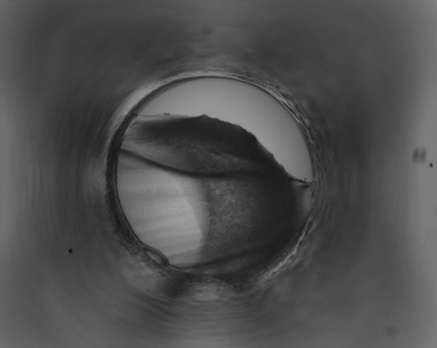 X0000089380200200707131705