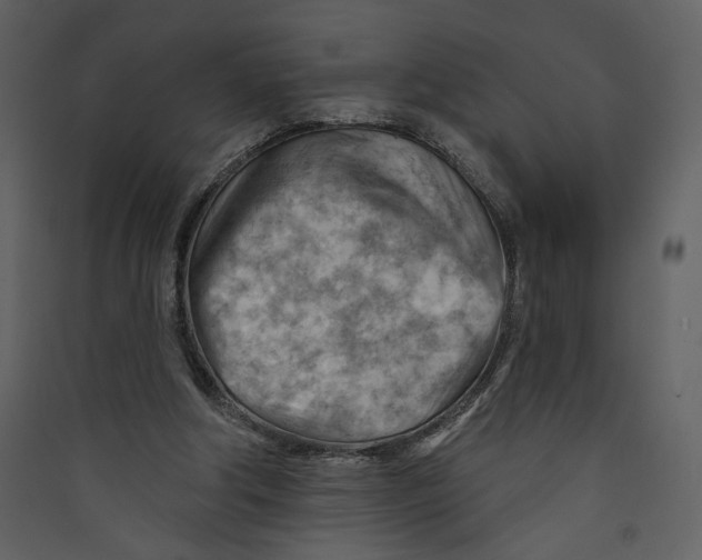 X0000089380202200707131705