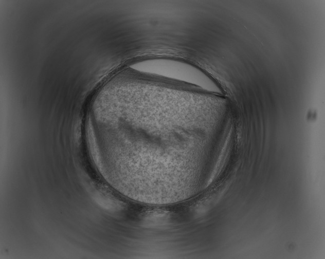 X0000089380206200707131705