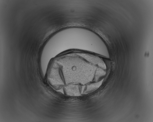 X0000089380207200707131705