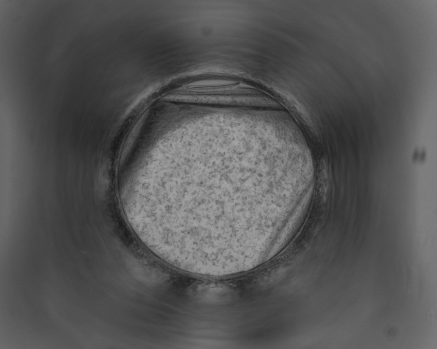 X0000089380208200707131705