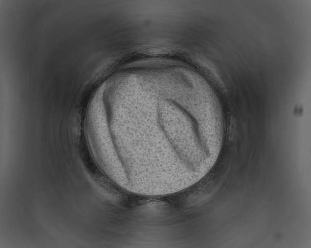 X0000089380210200707131705