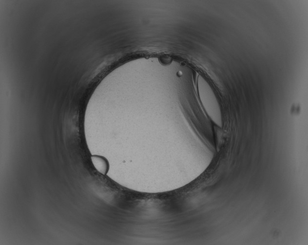 X0000089380212200707131705