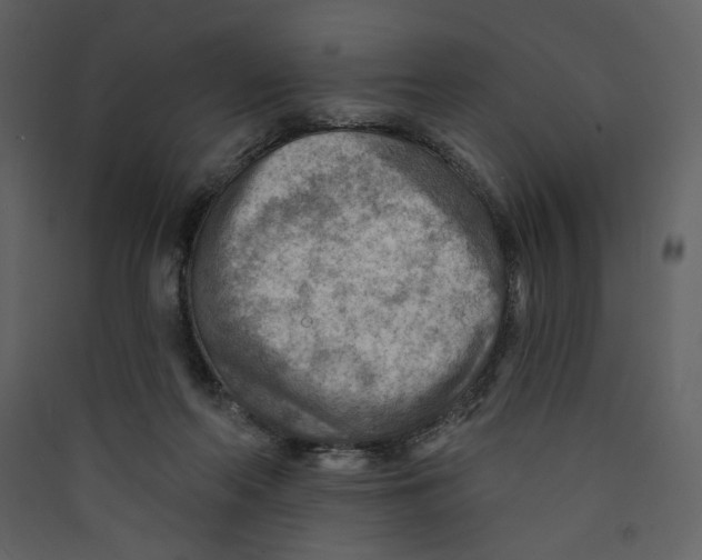 X0000089380214200707131705