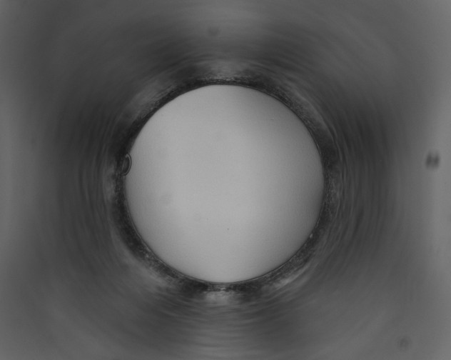 X0000089380216200707131705