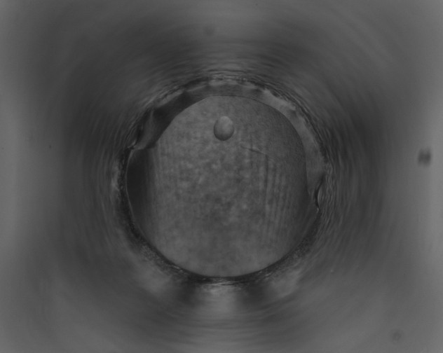 X0000089380219200707131705