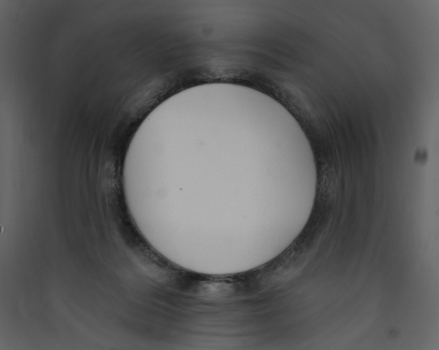 X0000089380220200707131705