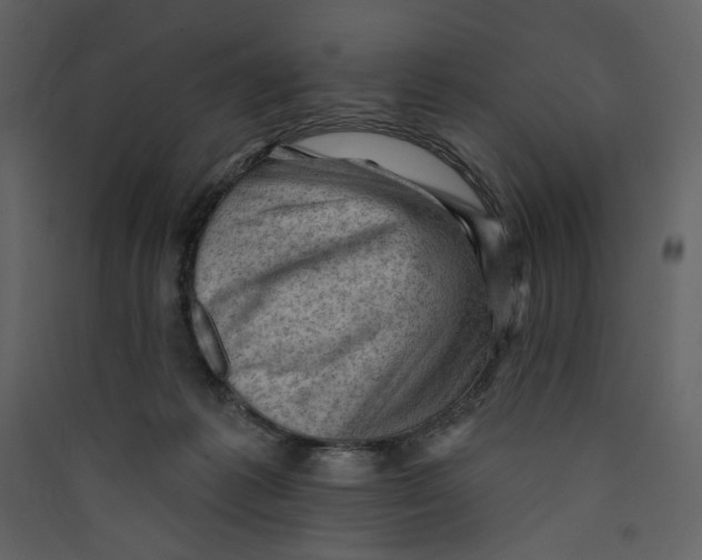 X0000089380221200707131705