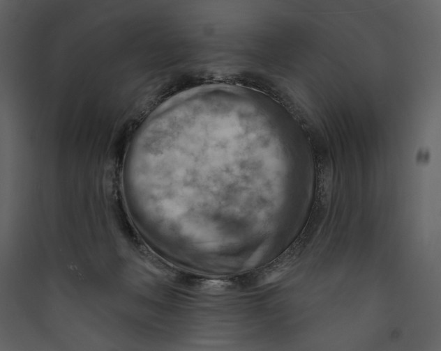 X0000089380222200707131705