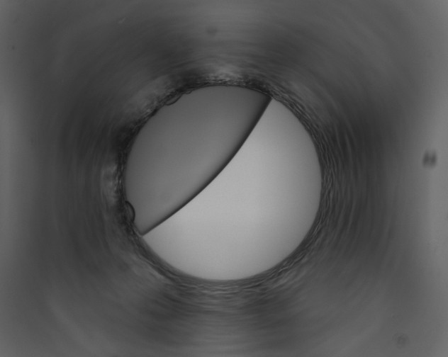 X0000089380223200707131705