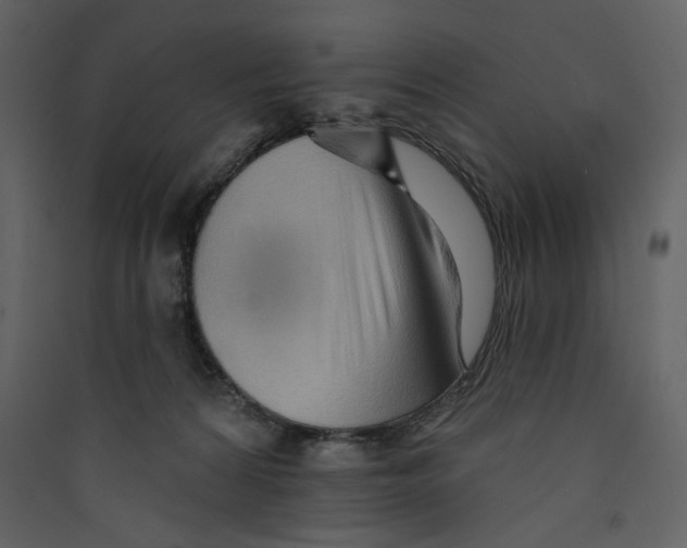 X0000089380224200707131705