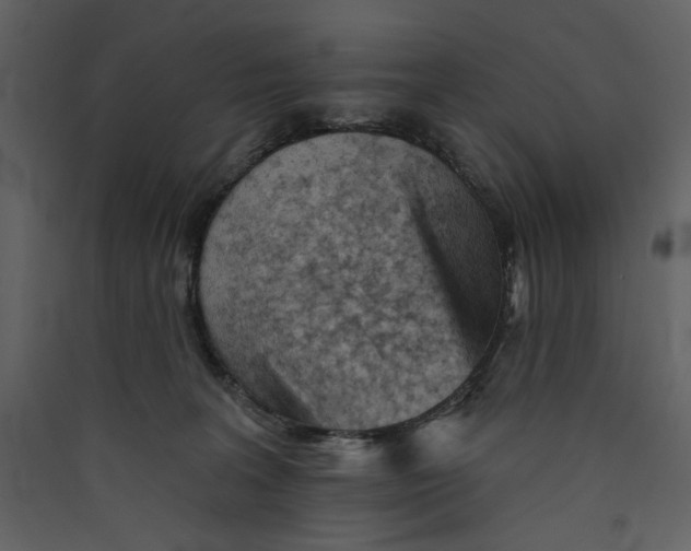 X0000089380227200707131705