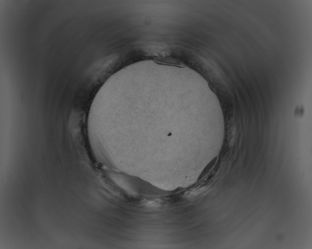 X0000089380229200707131705