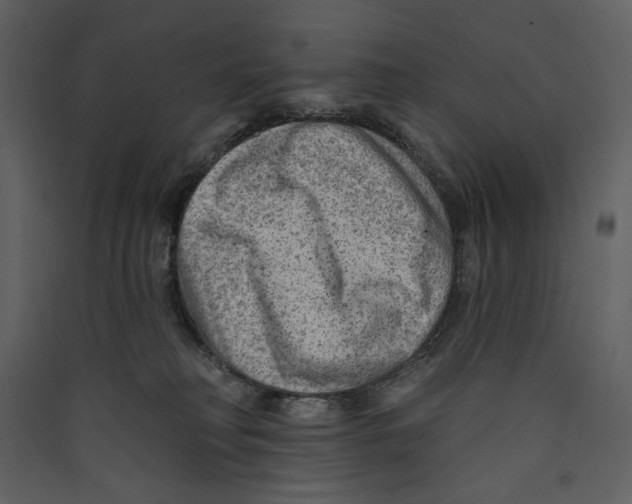 X0000089380230200707131705