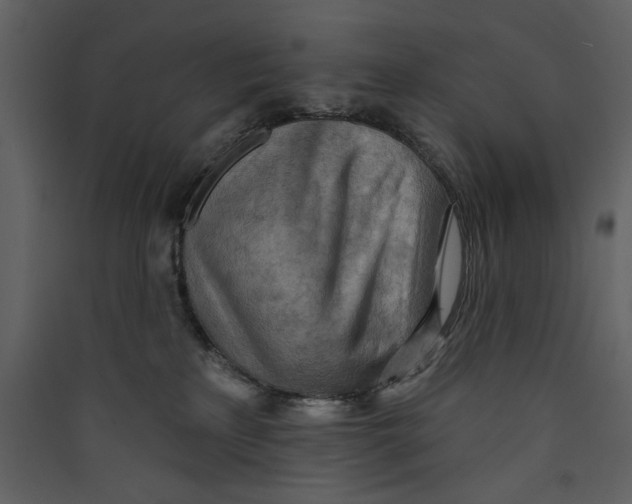 X0000089380233200707131705