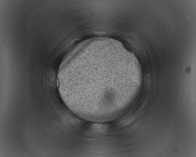 X0000089380234200707131705