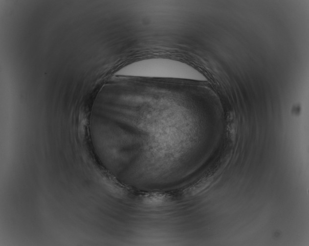 X0000089380235200707131705