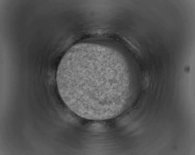 X0000089380236200707131705