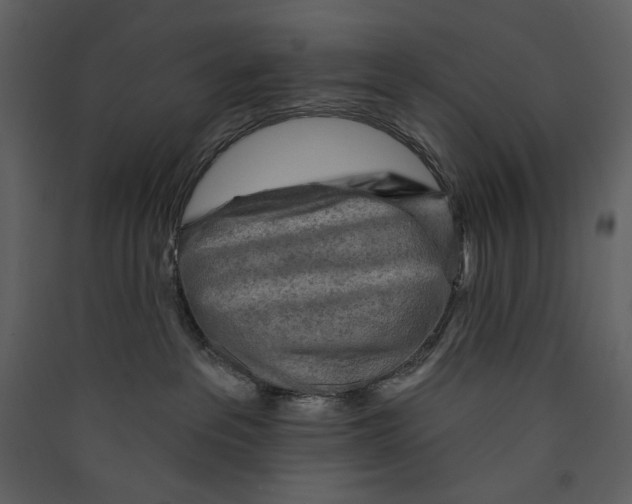 X0000089380237200707131705