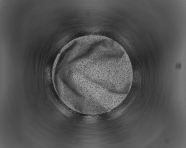 X0000089380238200707131705