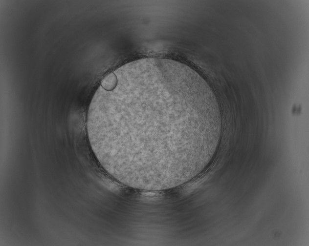 X0000089380240200707131705