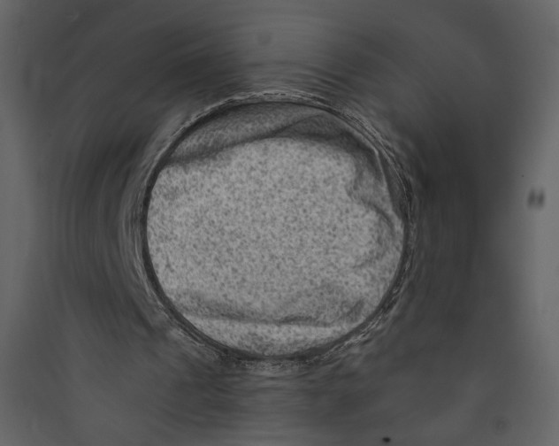 X0000089380241200707131704