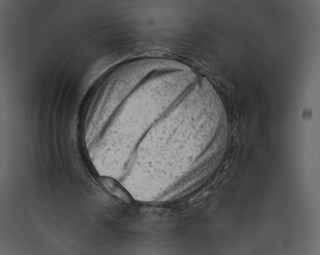 X0000089380242200707131704