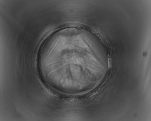 X0000089380243200707131704